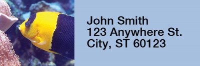 Tropical Fish Rectangle Address Labels | LRRANI-01