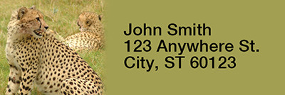 Safari Wildlife Rectangle Address Labels | LRRANI-03