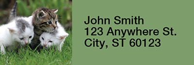 Barnyard Rectangle Address Labels | LRRANI-04