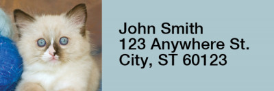 Cute Kittens Rectangle Address Labels | LRRANI-06