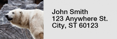 American Wildlife Rectangle Address Labels | LRRANI-08