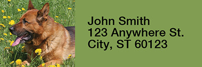 German Shepherds Rectangle Address Labels | LRRDOG-01