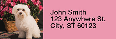 Maltese Rectangle Address Labels | LRRDOG-103