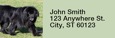 Newfoundland Rectangle Address Labels | LRRDOG-105