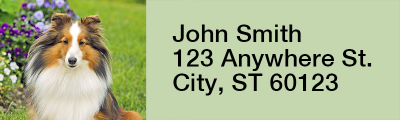 Shetland Sheepdog Rectangle Address Labels | LRRDOG-109