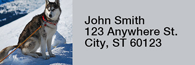 Siberian Husky Rectangle Address Labels | LRRDOG-110