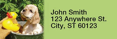 Cute Cocker Spaniels Rectangle Address Labels | LRRDOG-18