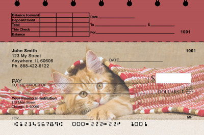 Cute Kittens Top Stub Personal Checks | TSANI-06