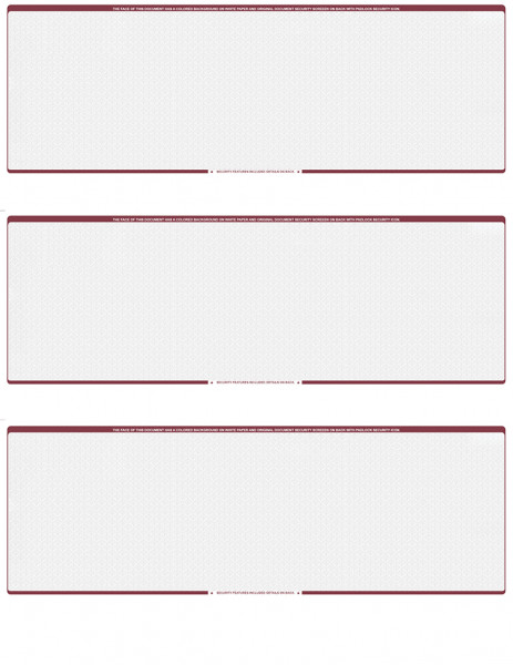 Wall Street Blank 3 Per Page Laser Checks | L3C-BLA-WS