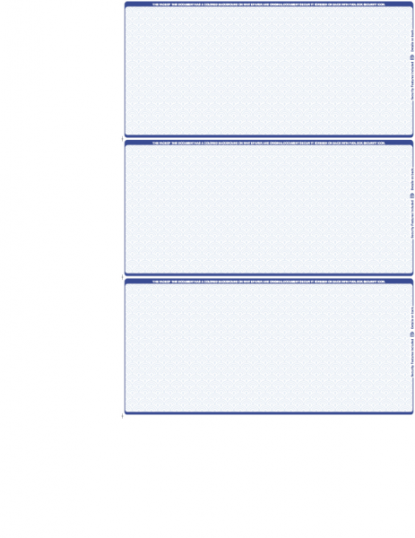 Blue Blank Safety 3 Per Page Wallet Checks | L3P-BLA-BS