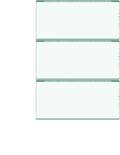 Green Blank Safety 3 Per Page Wallet Checks | L3P-BLA-GS