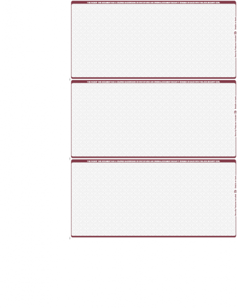 Wallstreet Blank 3 Per Page Wallet Checks | L3P-BLA-WS