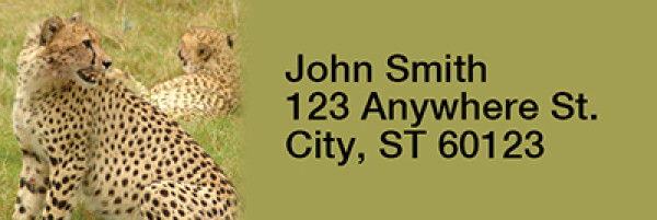 Safari Wildlife Rectangle Address Labels | LRRANI-03