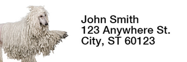 Standard Poodle Rectangle Address Labels | LRRDOG-111